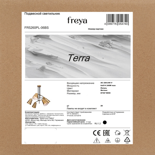 Люстра Freya FR5260PL-06BS фото 9